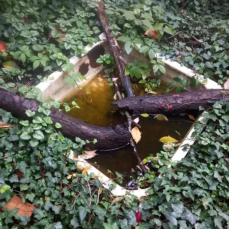 Einzelstellやlatz Mit Stuetzpunkt Und 3608qm やrivaten Wildwaldgarten Kemp *