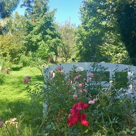 Kemp Einzelstellやlatz Mit Stuetzpunkt Und 3608qm やrivaten Wildwaldgarten *