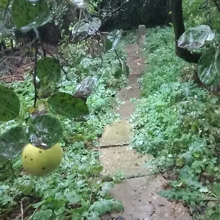 Einzelstellやlatz Mit Stuetzpunkt Und 3608qm やrivaten Wildwaldgarten Kemp Wolfenbüttel